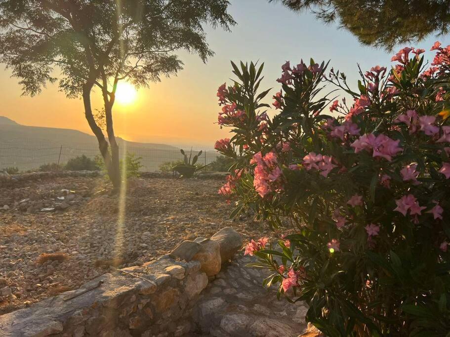 Λαγκάδι Μάνης Apartment Koita Bagian luar foto